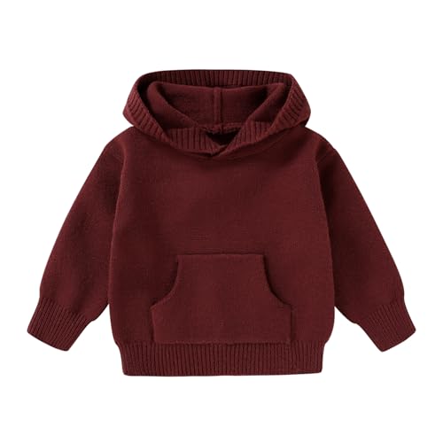 YOUNGER STAR Toddler Baby Girl Boy Knit Sweater Hooded Long Sleeve Sweatshirt Tops Fall Winter Clothes with Pocket(Burgundy,4-5T)