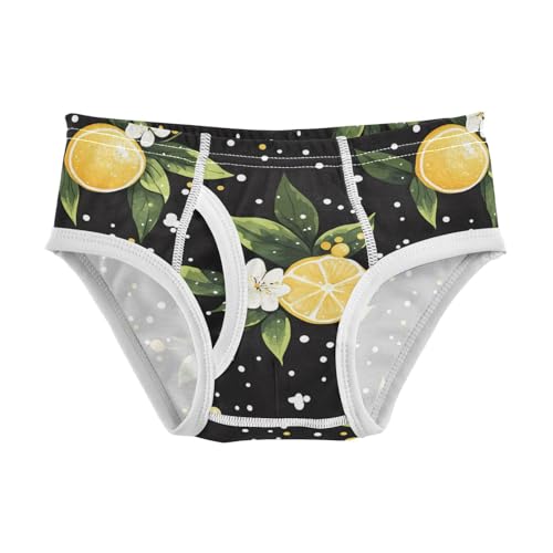 Lemon and Polka Dots Toddler Boy's Underwear 2T 202c0136