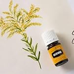 Goldenrod Essential Oil | 5 ml | Warm & Uplifting Aroma for Diffusing, Topical Use, & DIY Blends | 100% Pure Essential Oil with Young Living’s Seed to Seal® Quality Commitment - Image 4