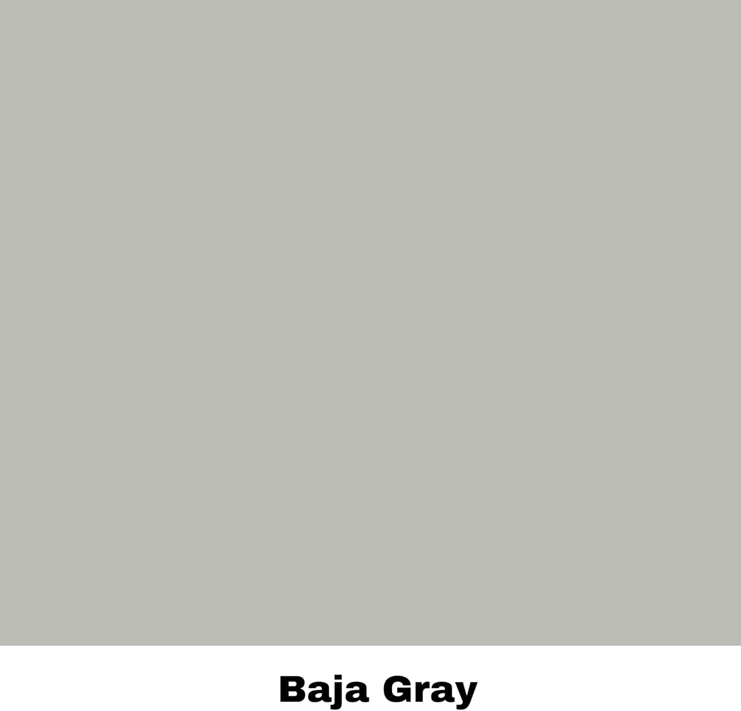 Dixie Belle Silk All-in-One Mineral Paint - Baja Gray (16oz) - Light Gray Water Based Built-In Primer + Topcoat for Wood + Metal - Durable Furniture Paint - Low Reflective Finish