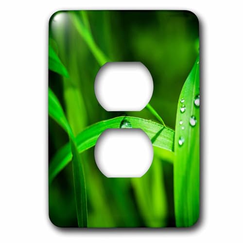 Couvercle de prise herbe verte de qualité supérieure 3dRose - 2