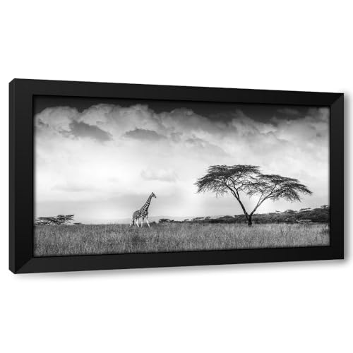 ArtDirect And I Dreamed Of Africa Custom Framed Art Print Giclee Print or Canvas Options with Various Sizes and Customization by C. Sink, Jeffrey