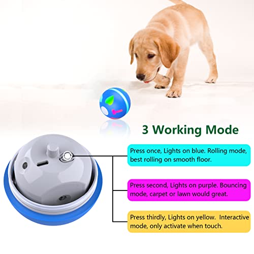 Aukl Interactive Dog Toys Wicked Ball Self Moving Motion Activated Ball #TOP3