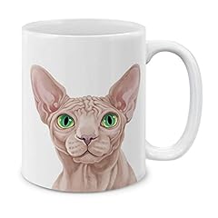 Cute Cream Sphynx Kitten Cat