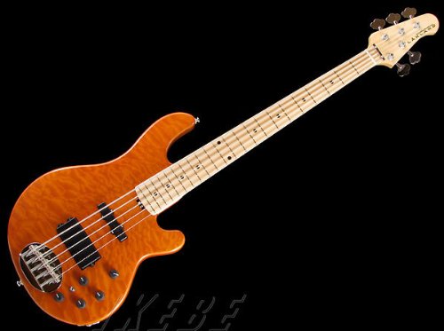 Amazon | LAKLAND SL55-94 Deluxe (Amber) | サンプラー | 楽器・音響機器