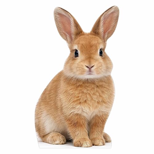 ATOZSIGN Life Size Rabbit Cutout 5 ft Animal Themed Party Decoration for Birthday and Themed Party