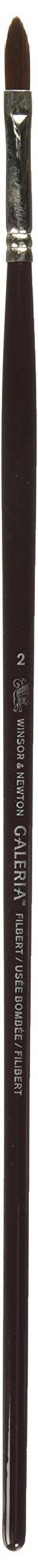 Winsor & Newton Galeria Brush - Filbert