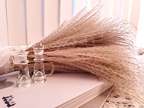 100 Pcs Fluffy Pampas Grass Reeds Dried Flower, 17" Tall Not Sparse Natural Plant For Boho Wedding Bouquet Arrangement, Rustic Floral Home Decoration, Vase Filler For Living Room Decor For All Seasons #TOP3