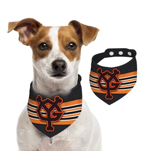 ybgo_i ǔWCAc ybgpt^I p Lp OpXJ[t ̎ K lN^C ȒPE TCY\ @ U Hp 􂢉  킢 ybgpi ANZT[ a v[g