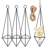 Homoyoyo 4 Stück Geometrischer Luftpflanzenhalter Metall Hängetopf für Zimmerpflanzen Luftdurchlässig Robust Dekorativ für Wohnzimmer Büro Badezimmer