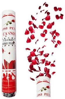 Masti Zone Artificial Rose Petals Flower Party Poppers (White)