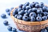 Fresh Blueberries by RawJoy Farms., 1 Pound