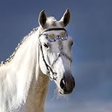 callie Personalized Horse Browband with Birthstone & Initial, Custom Antique Bronze Western Bridles for Horses, Horse Face Jewelry Gifts for Horse Lover Rider