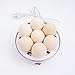 Steamer Egg Cooker/Boiler Electronic Egg Poacher Rapid Egg Maker Scrambled Eggs with 7 Egg Capacity Auto Shut off White