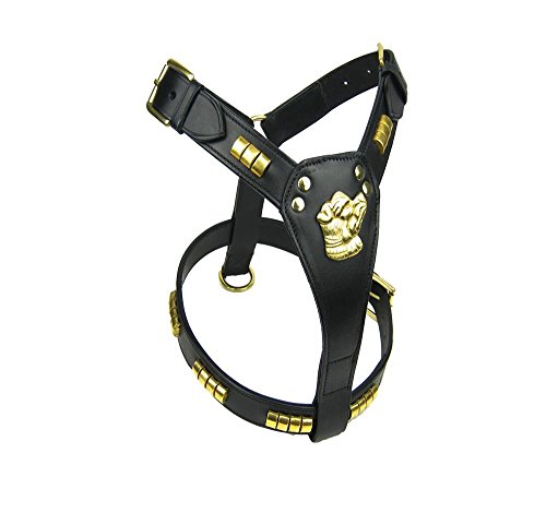 Avon Equine Leather Dog Harness Staffordshire Staff Staffie Bull Terrier Brass Studded, Black