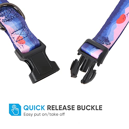 https://m.media-amazon.com/images/I/412Rk2zyvbL._SL500_.jpg