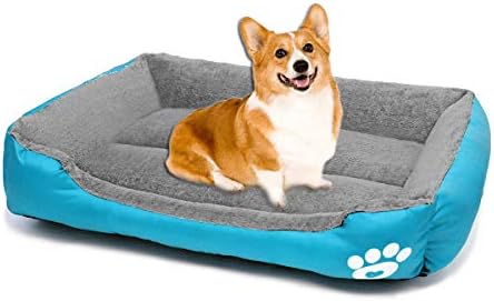 ZEEXIPDR Dog bed Cat bed Pet bed Super soft pet sofa bed, soft wool fleece PP cotton made into a pet bed, suitable for small medium dogs or catsM:55 * 43 * 12CM(21.6 * 17 * 4.7Inch)