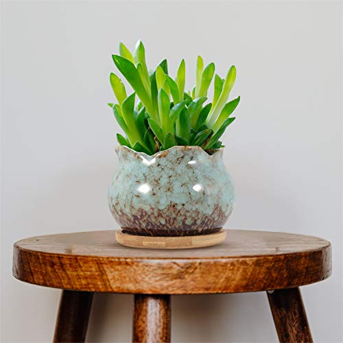 Laerjin Succulent Pots, 4 Inch Ceramic Plant Pots And Drainage Hole With Bamboo Tray, Colorful Flower Planter Pot, Pack Of 6 (Plants Not Included) #TOP5