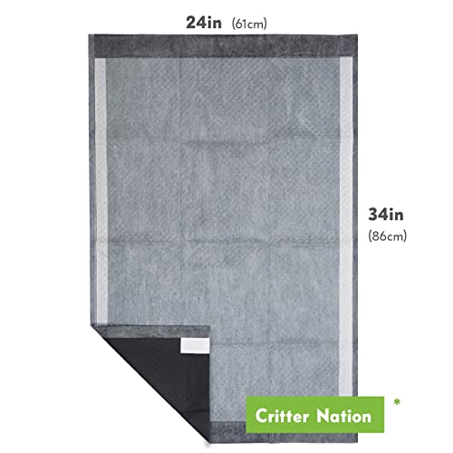 Paw Inspired Disposable Guinea Pig Cage Liners | Bamboo Charcoal Odor Controlling | Super Absorbent Liners Pee Pads for Ferrets, Rabbits, Hamsters, and Small Animals (34x24 (Critter Nation) -12 ct) by Paw Inspired - Image 2