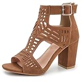 AOSPHIRAYLIAN Chunky Heeled Sandals for Womens Heels Bohemian Cutout Open Toe Summer Block Heeled Party Sandals