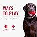 Kong - Rewards Ball - Ultra Durable Interactive Treat Dispensing Dog Toy - for Large Dogs