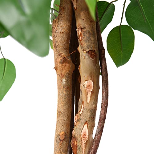 Soguyi Ficus Tree Artificial, 5Ft Tall Plastic Faux Plants Indoor With Realistic Leaves And Natural Trunk, Fake Potted Floor Plants For Home Office Living Room Decor(Set Of 1) #TOP2