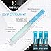 Cigtrus Natural Nicotine-Free & Tobacco-Free Smoking Alternative, Non-Electric Craving Relief, Quit Smoking Aid with Cigtrus (ICY Peppermint) - 3 Piece