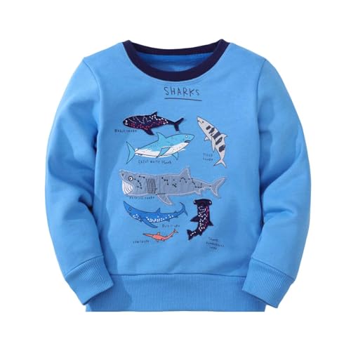 Sweatshirts garçon amples pour la récréation et les sorties d'hiver