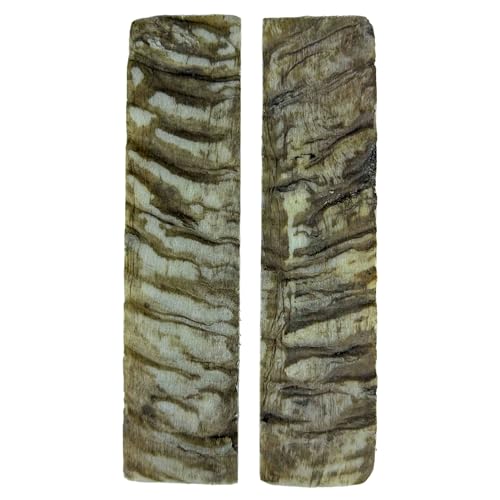 Pair of natural ram horn knife handle scales
