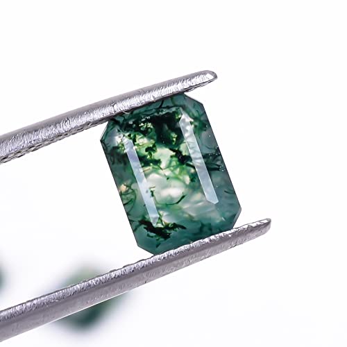 8X6X4 Mm, 4 Pcs Natural Moss Agate Octagon Shape, Step Cut Gemstone Wholesale Lot, Jewelry Making Loose Gemstone, Polished Minerals, Diy, Wire Wrapping, Healing Crystals, Bulk Gemstone Deal #TOP3