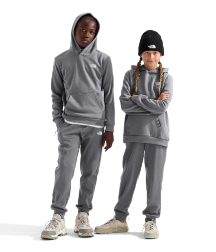 The North Face North Face Evolution EMB Pullover Hoodie, Pale Gy Hth, Small