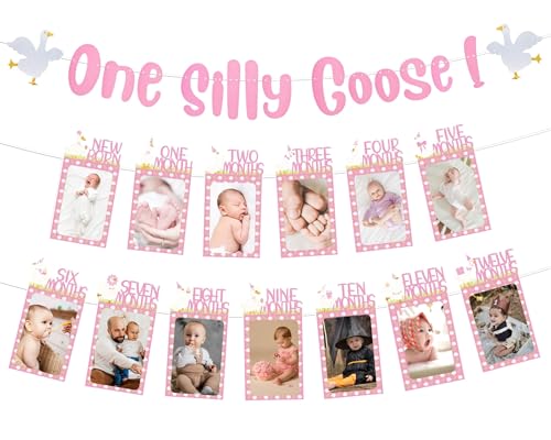 Silly Goose 1st Birthday Photo Banner – Newbron to 12-Months Baby Milestone Photograph Garland for Funny Theme Baby Girl's First Birthday Decorations Party & Supplies (Pink)