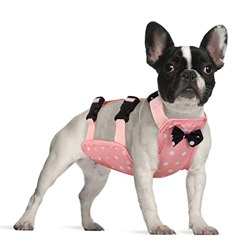 Queenmore Dog Chest Protective Shirt, Belly Clothes To Keep Warm And Keep Chest Clean, Waterproof Adjustable Breathable Apparel For Male Female Dogs, Pink S #TOP24