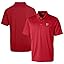 Atlanta Falcons, Red