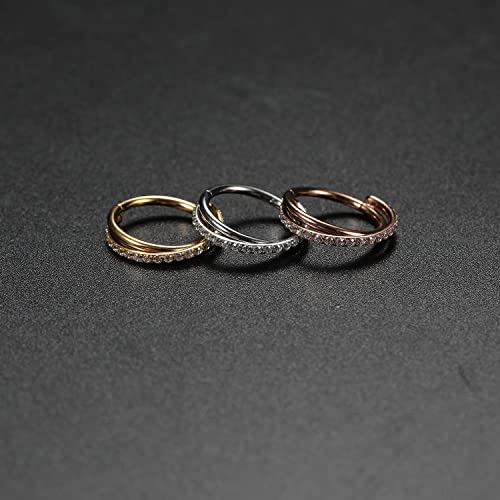 16G Helix Earrings Conch Hoop Ring Cartilage Earring Hoop Surgical Steel Daith Tragus Rook Earrings Rose Gold Septum Jewelry Seamless Clicker Nose Rings Hinged Segment Ring Lobe Earrings 10Mm #TOP3
