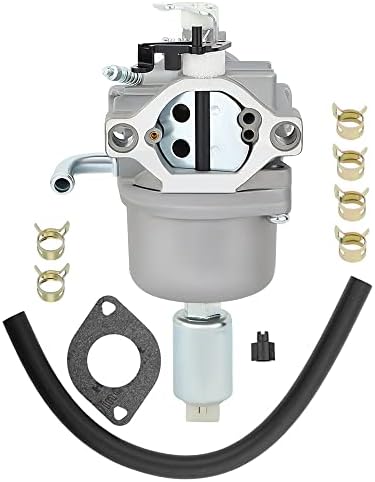 Briggs & Stratton 799727 Vergaser 791886/698620/690194 : Amazon.de  