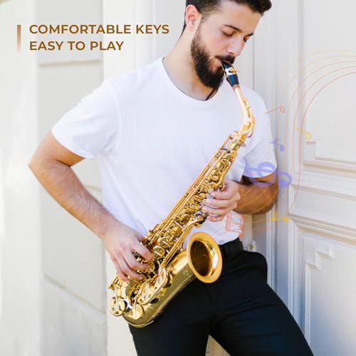 Image of ARCTIC AR SRB-PRO Model Alto Saxophone with Case, Featuring a World-Class Finish And a Professional Setup, Designed for Musicians, Band Performers. Includes Mouthpiece, Reed, and Protective Case.