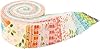 Sandy Gervais Spring's in Town Rolie Polie 40 2.5-inch Strips Jelly Roll Riley Blake RP-14210-40 #2