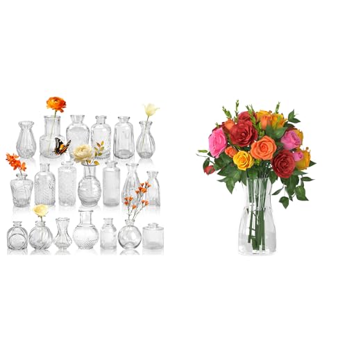 Der Rose Bundle of 20 Pack Glass Bud Vase Set and Clear Glass Vase for Centerpieces