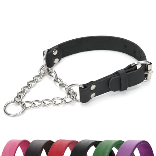 LOIIHEII Martingale Collar for Dogs No-Pull Adjustable