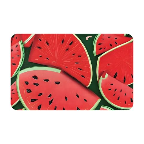 Red Watermelon Print Living Room Bathroom Kitchen Anti Slip and Absorbent Carpet, Indoor Entrance Door Muddy Floor Mat, Ultra Soft Washable Carpet 21x31.5 Inches