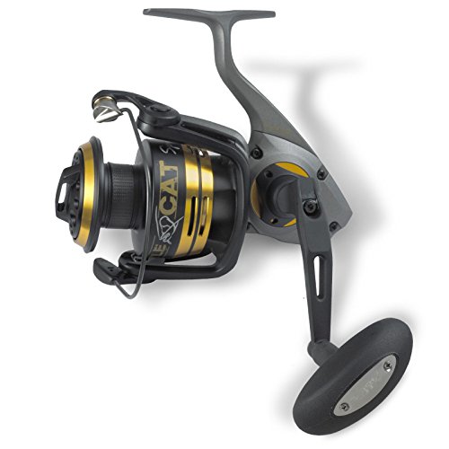 Dimensioni ruote: 6000 Black Cat Mulinello Battle Cat Spin FD - 680, 275m in 25/100, 94, 7, 6000, 4.9/1, 13.6
