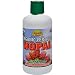 Dynamic Health Organic Certified Nopal Juice Blend Nopal -- 33.8 fl oz