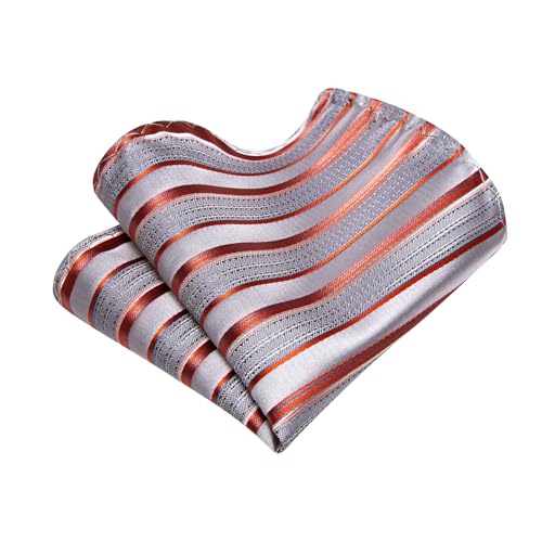 Image of Barry.Wang Boys Ties School Pre-Tied Kids Necktie Handkerchief Clip Set Uniforms Child Ties for 8-14 Years Wedding Party