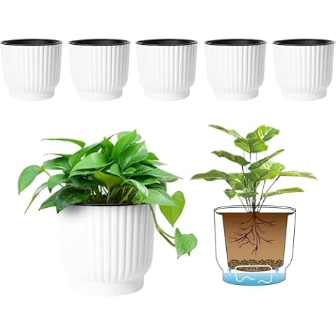 T4U 6 Inch Self Watering Pots for Indoor Plants, 6 Pack White Plastic Flower Pots for All House Plants, Flowers, African Violets Cover