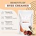 RYZE SUPERFOODS Probiotic Coffee Creamer with 6 Organic Adaptogenic Mushrooms & Probiotics for Energy, Focus, Digestion with USA Grown Turkey Tail, Shiitake, Lions Mane, Reishi, Gluten Free 30 serving