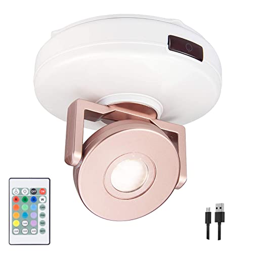 HONWELL Wireless LED Spotlights with Remote Control Rechargeable Ceiling Spotlights Dimmable Dartboard Lights with Rotatable Head 12 Color Changing Picture Lights for Artwork Painting Dartboard