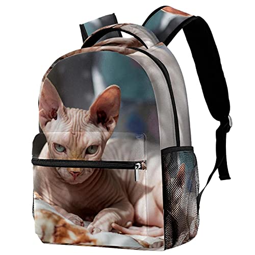 Sac à dos de voyage Sphynx ergonomique pour éviter le mal de dos des enfants