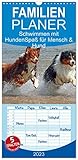 Schwimmen mit Hunden - Spaß für Mensch und Hund (Wandkalender 2023, 21 cm x 45 cm, hoch) Monatskalender