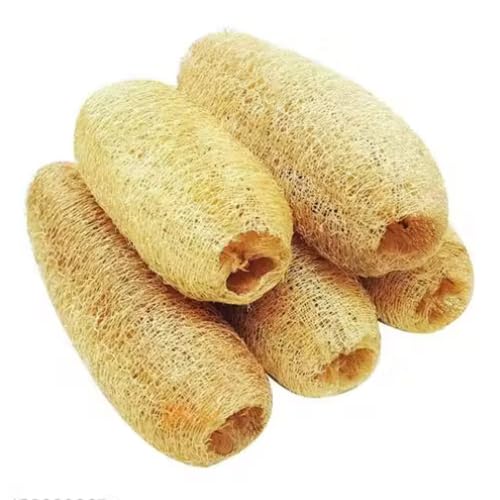 Long Natural Organic Body Scrub Loofah Sponge for Bathing - Pack of 1(4 pcs) | Size : 15 Cms Long-picture-31